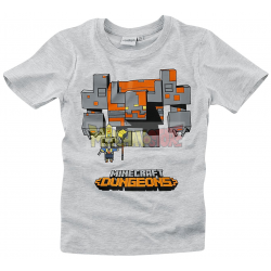 Camiseta niño manga corta Minecraft Dungeons 6 años 116cm