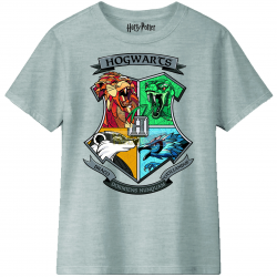 Camiseta infantil Harry Potter - Gryffindor 2, 10 años 140cm