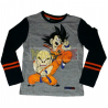 Camiseta niño manga larga Dragon Ball - Goku y Krilin gris 6 años 116cm