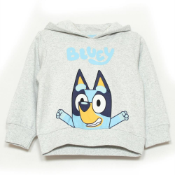 Sudadera niño Bluey gris 5 años 110cm CONFECCIONADA CON MATERIALES RECICLADOS